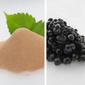 Свойства древесины шелковицы белой и черной